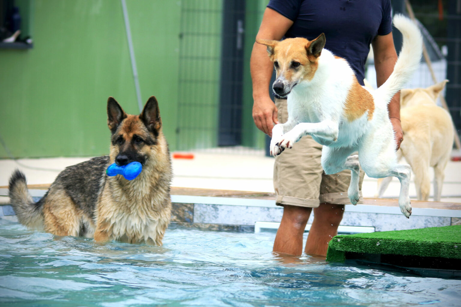 img-twdc-piscine